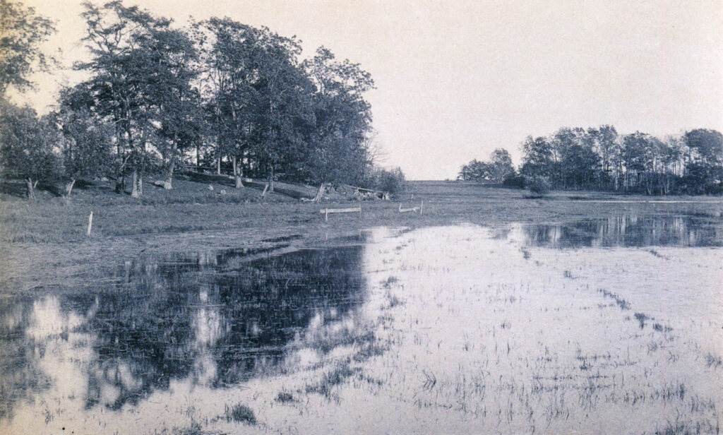Arthur Wesley Dow, Flooded Meadow, Ipswich, c. 1895. Platinum print, 4 5/8 x 7 5/8 inches. Partial gift of George and Barbara Wright and partial purchase as the gift of R. Crosby Kemper through the R. Crosby Kemper Foundation, 2007.10.106
