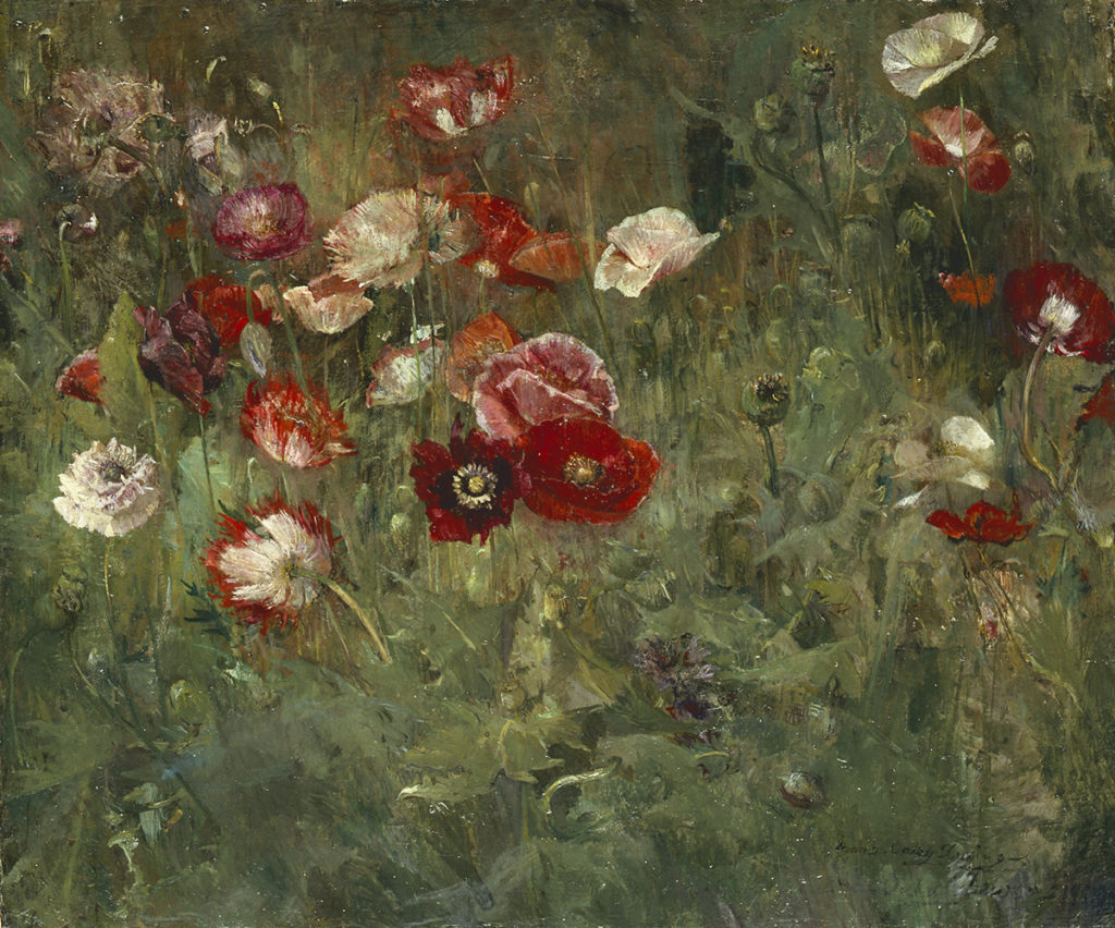 Maria Oakey Dewing, A Bed of Poppies, 1909