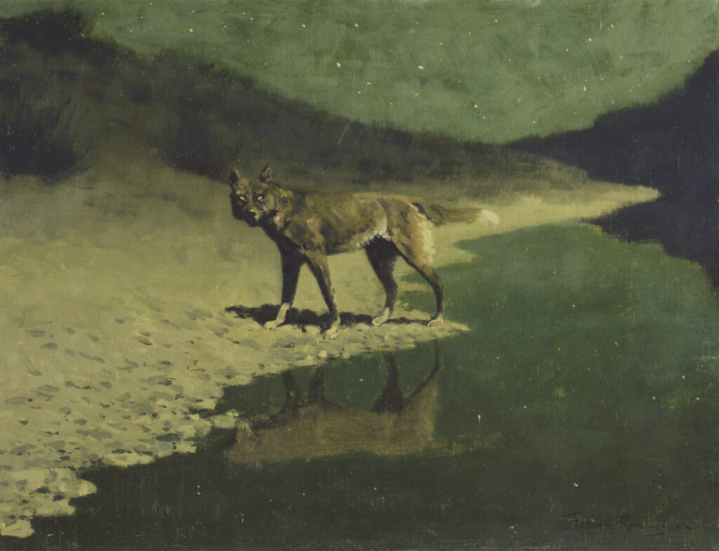 Frederic Remington, Moonlight, Wolf, c. 1904, oil on canvas, 20 1/16 x 26 inches, gift of the members of the Phillips Academy Board of Trustees on the occasion of the 25th Anniversary of the Addison Gallery, 1956.2